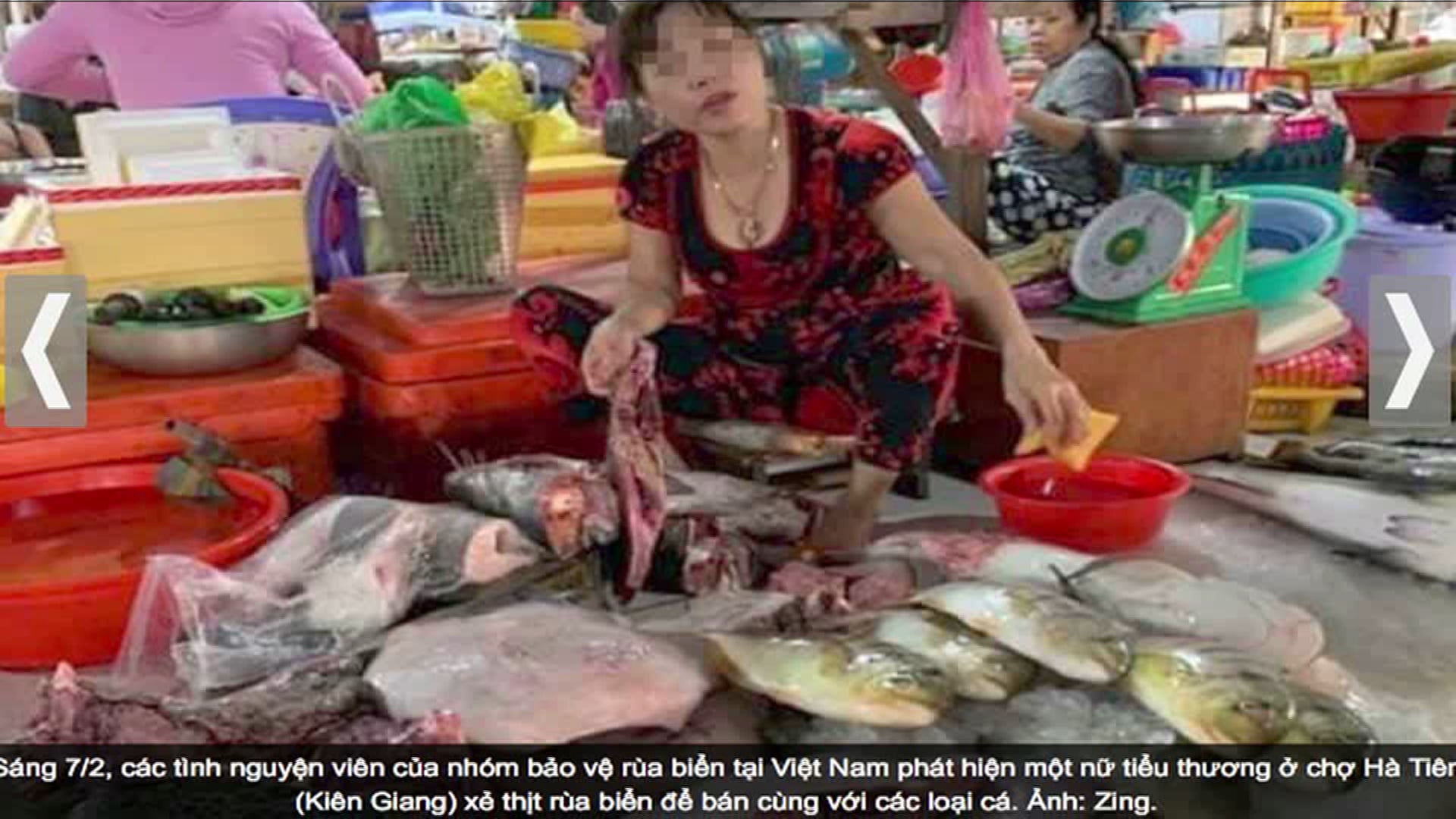 SBTN Texas | 12/02/2020