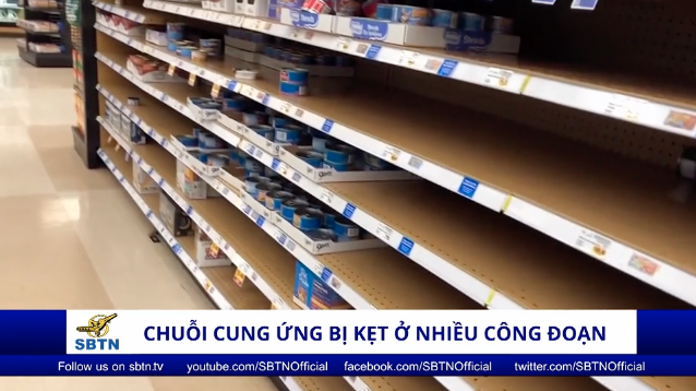 Tin Buổi Tối | 23/11/2021