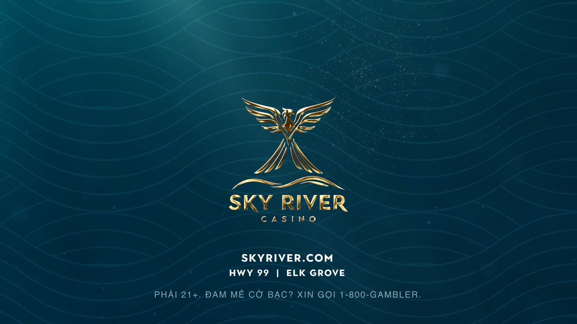 Hollywood First Look | 28/11/2025