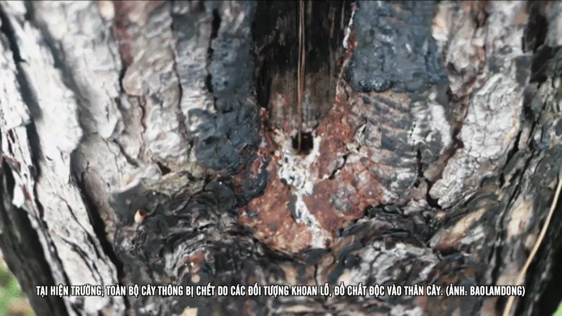 SBTN Canada | 27/07/2019