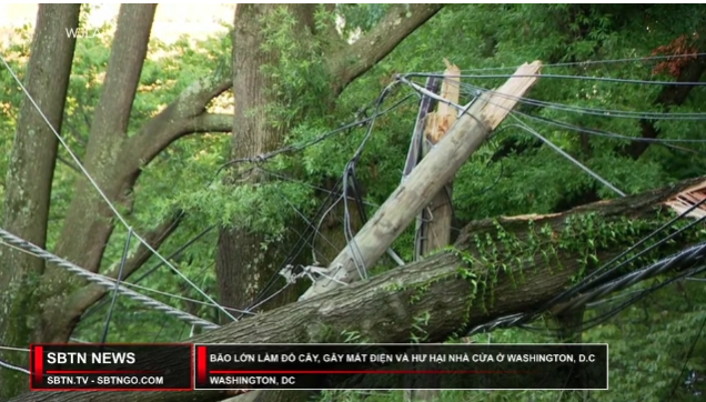 Tin Buổi Trưa | 31/07/2023