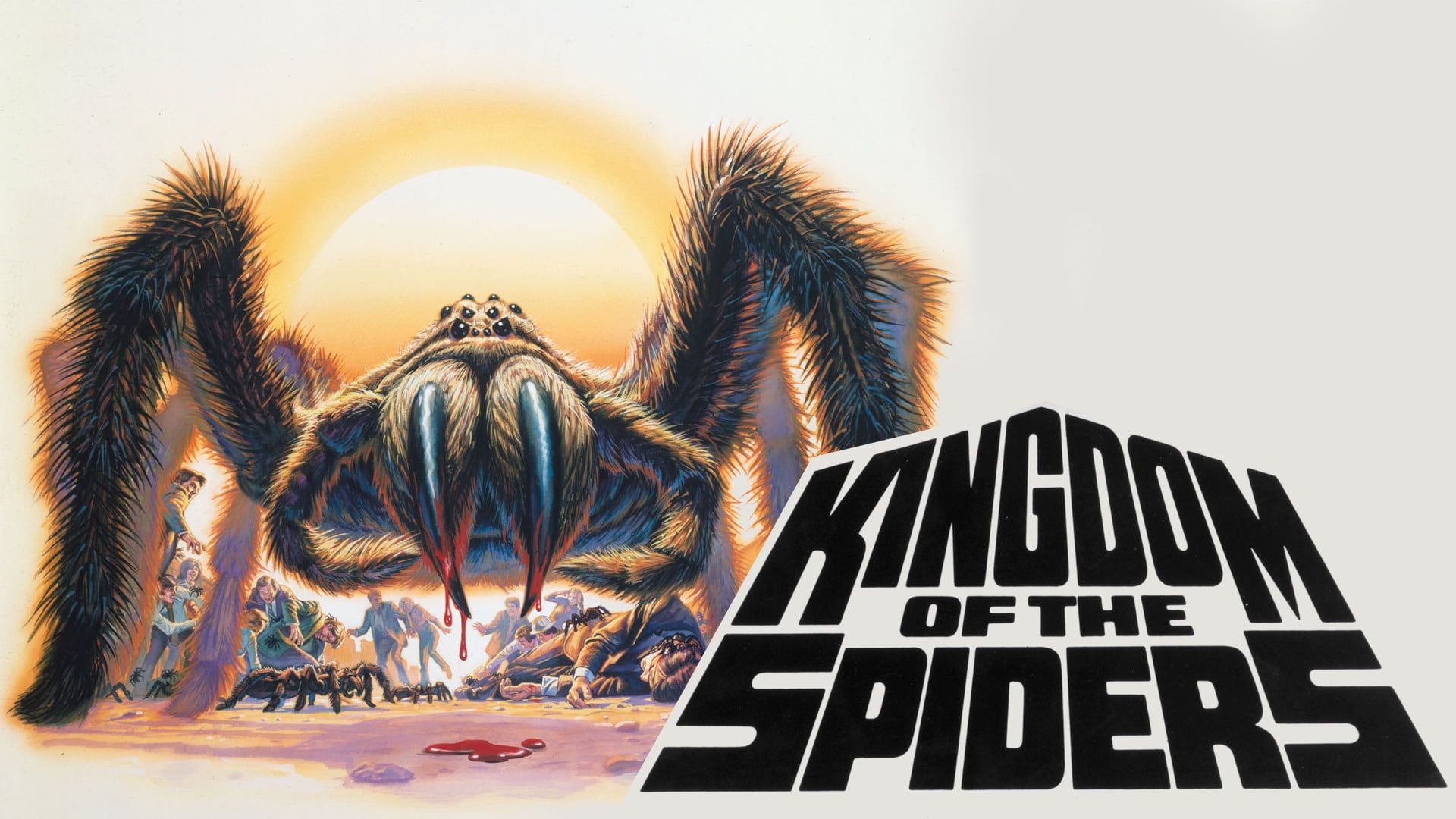 Kingdom of the Spiders