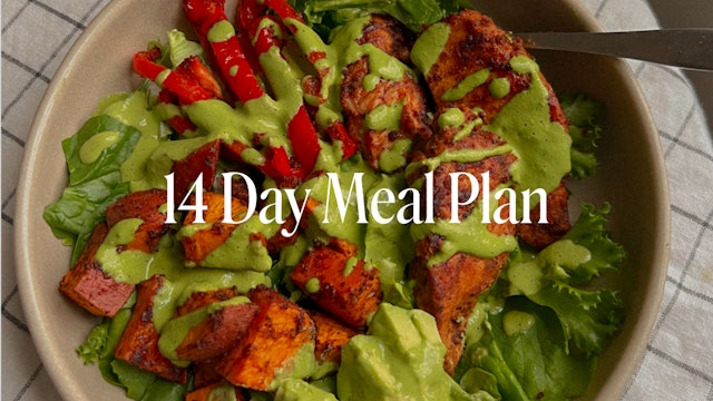 14 DAY MEAL PLAN - FORM