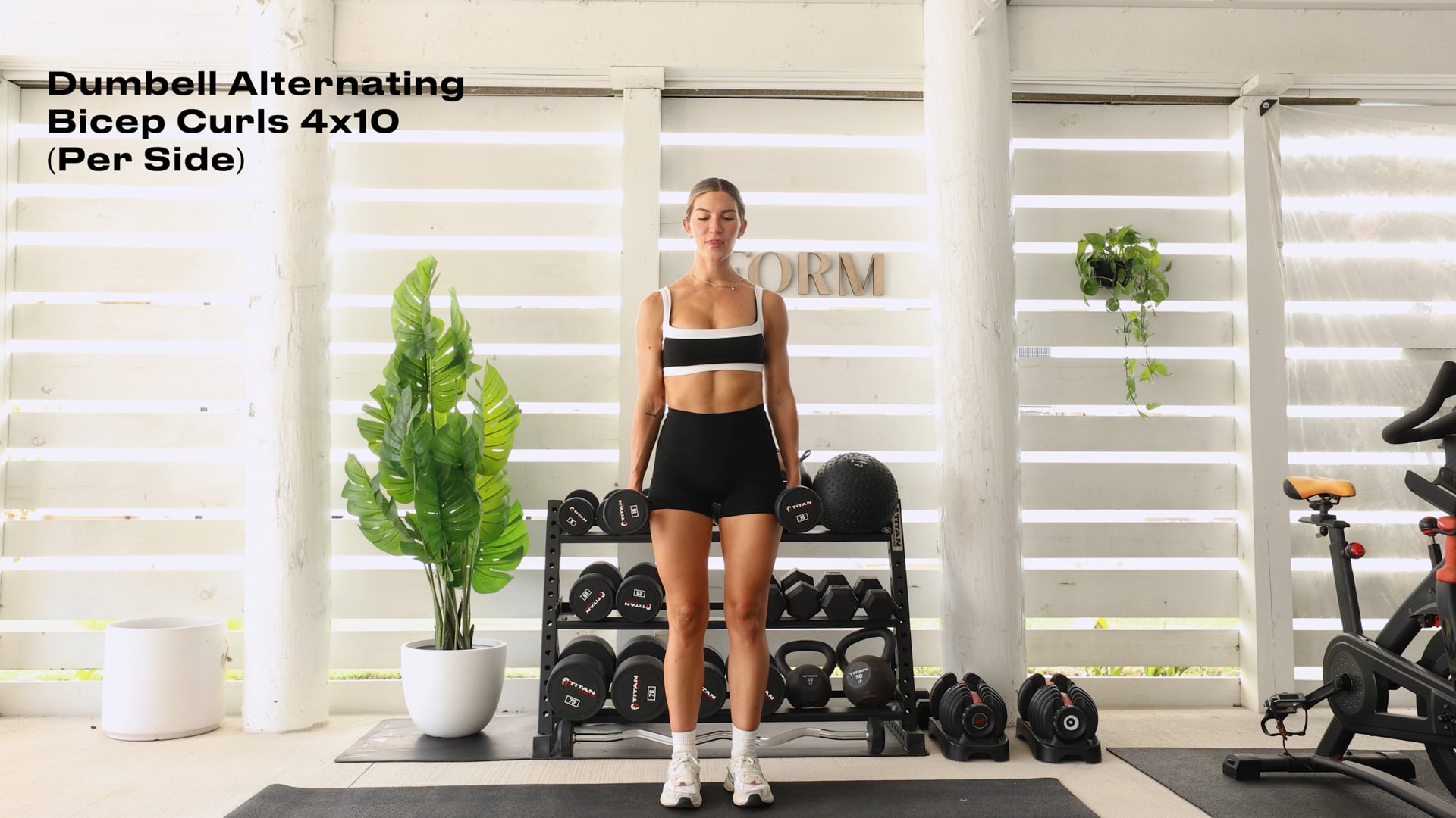 DUMBBELL ALTERNATING BICEP CURLS (4x10) PER SIDE 