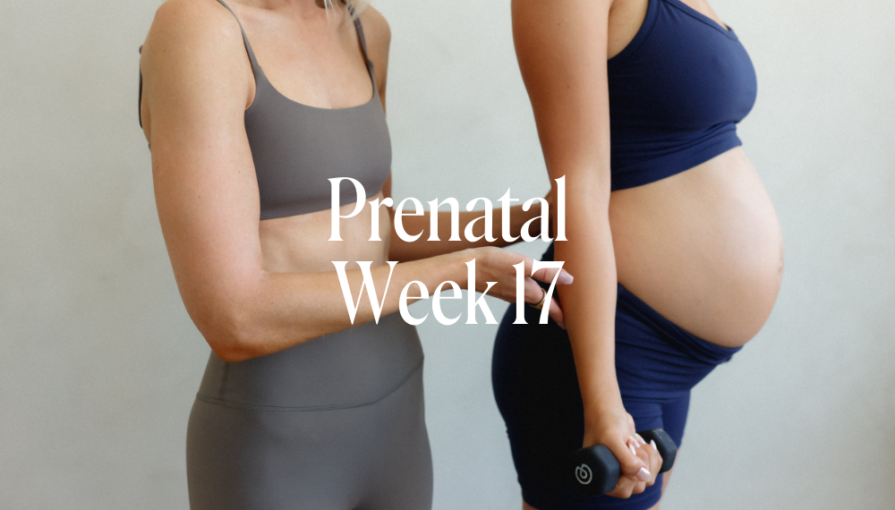PRENATAL WEEK 17