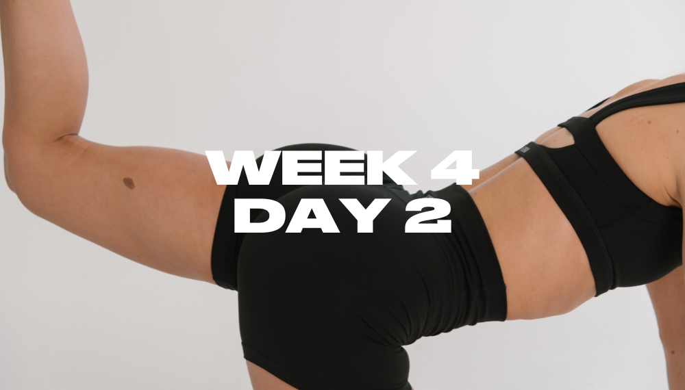 WEEK 4 DAY 2 - UPPER BODY