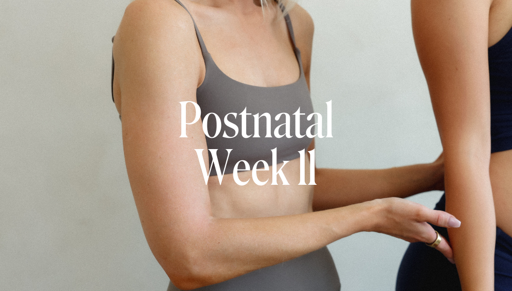 POSTNATAL WEEK 11