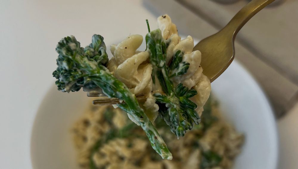 VEGAN GROCERY GUIDE #1