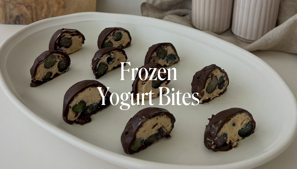 FROZEN YOGURT BITES