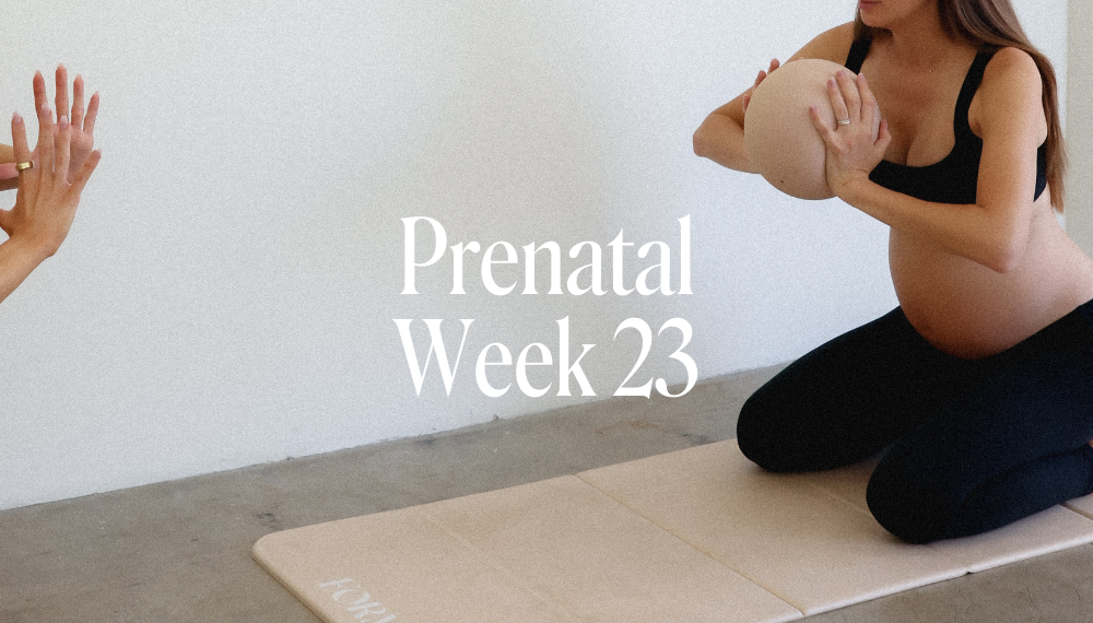 PRENATAL WEEK 23