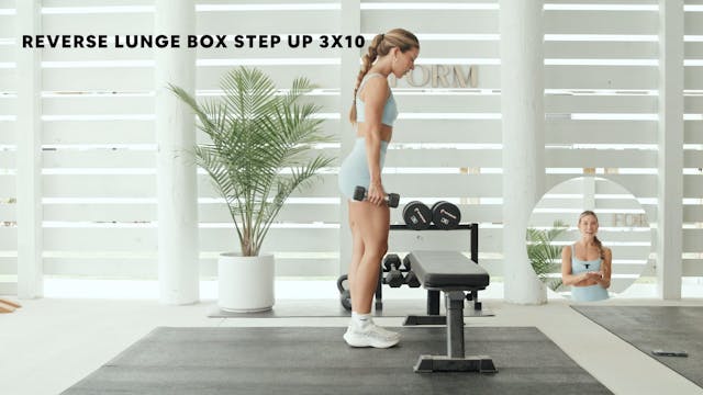 REVERSE LUNGE BENCH STEP UP (3X10)