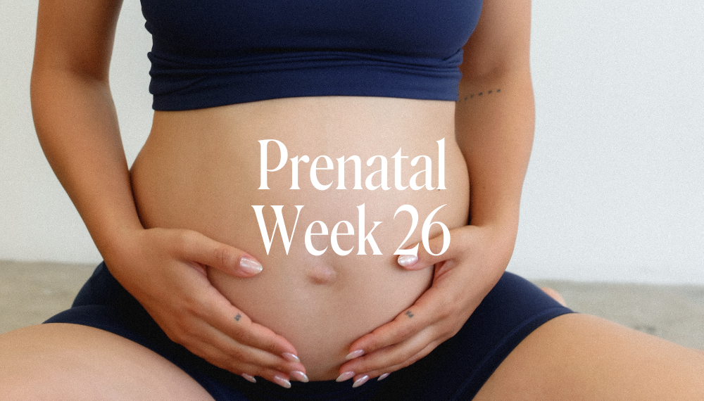PRENATAL WEEK 26
