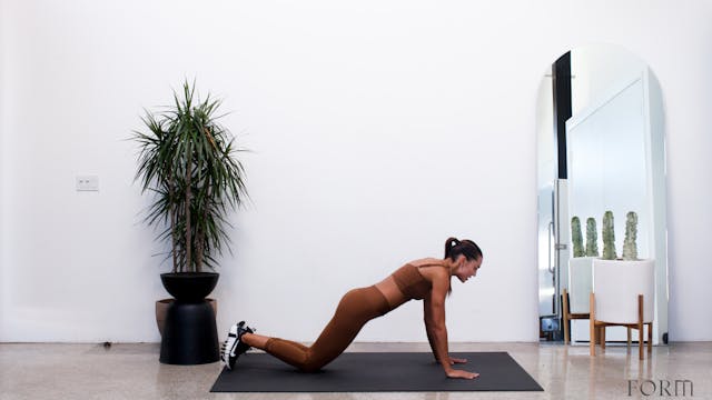 20 MINUTE ARMS AND ABS