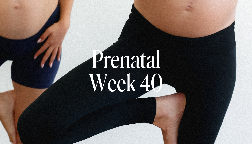 PRENATAL WEEK 40
