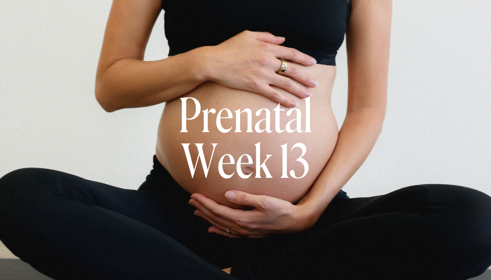 PRENATAL WEEK 13