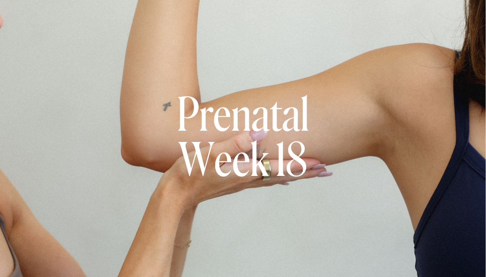 PRENATAL WEEK 18