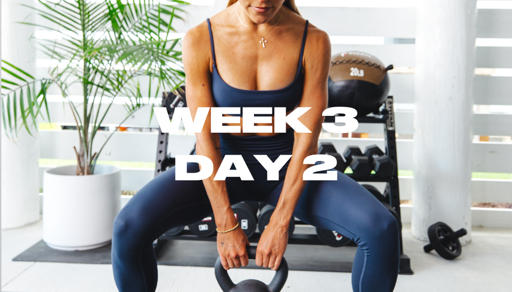 W3/ DAY 2: UPPER BODY