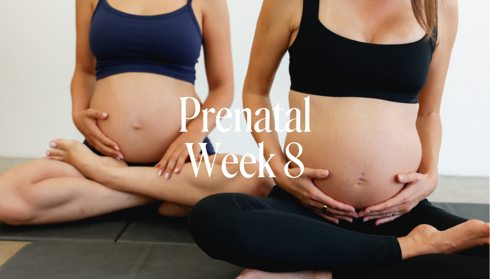 PRENATAL WEEK 8