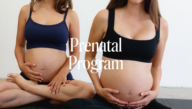 PRENATAL PROGRAM