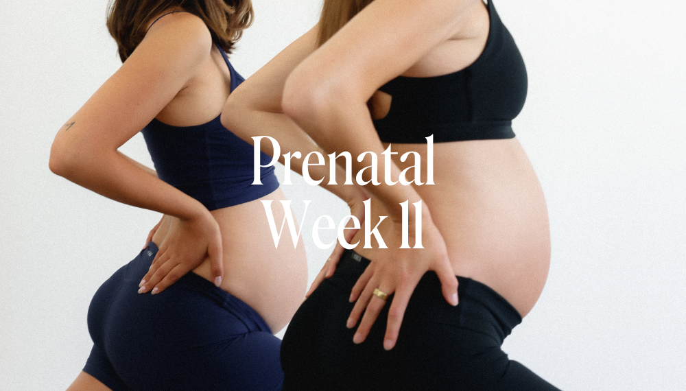PRENATAL WEEK 11
