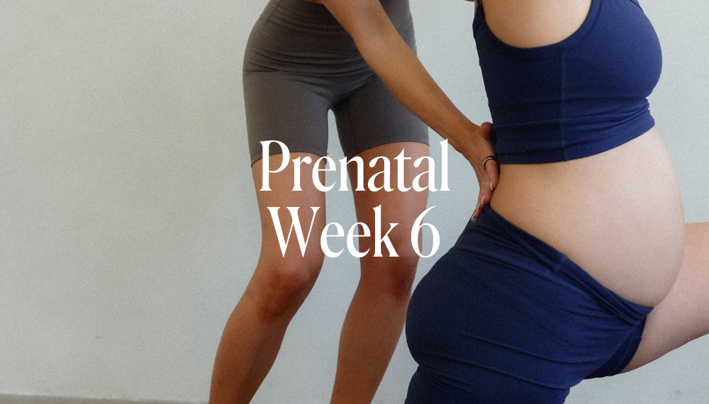 PRENATAL WEEK 6