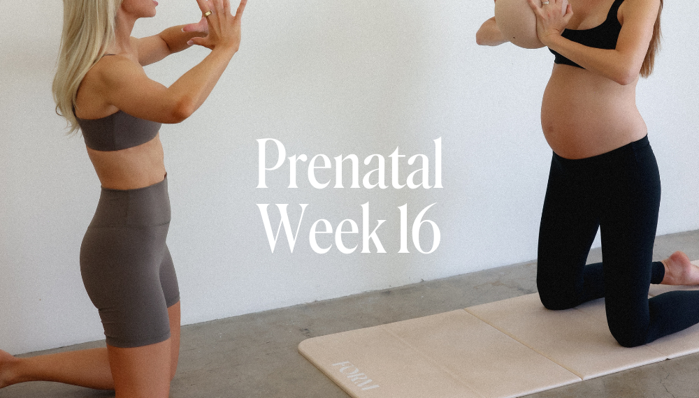 PRENATAL WEEK 16