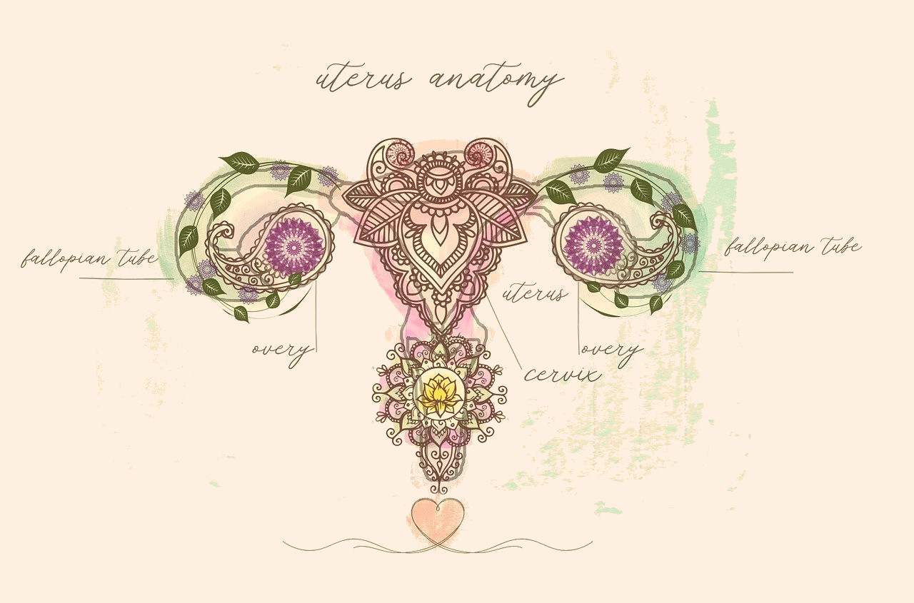 Die Gebärmutterkraft aus medizinischer Sicht