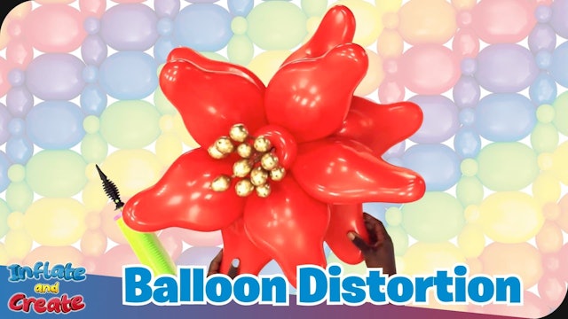 Balloon Distortion Poinsettia Flowers