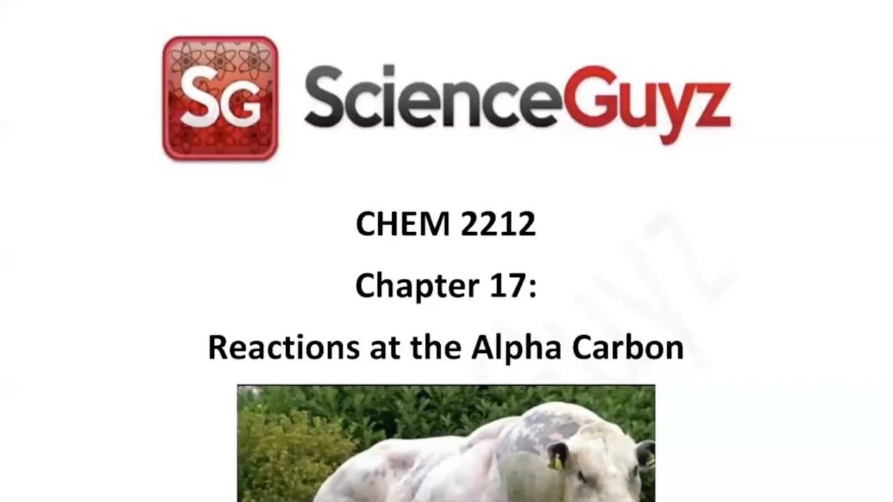 CHEM 2212 Chapter 17 Reactions at the Alpha Carbon Science Guyz