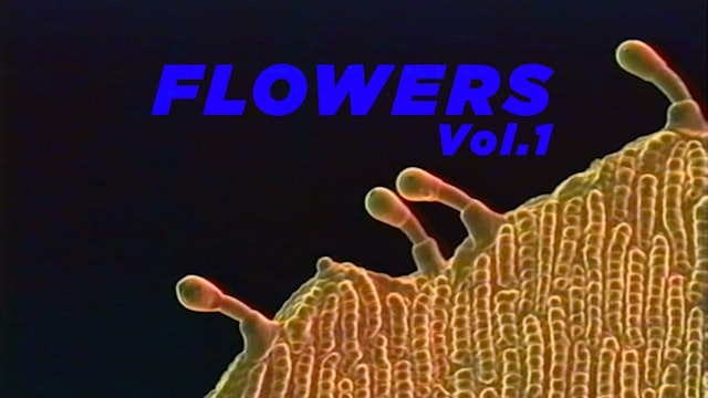 Flowers Vol.1