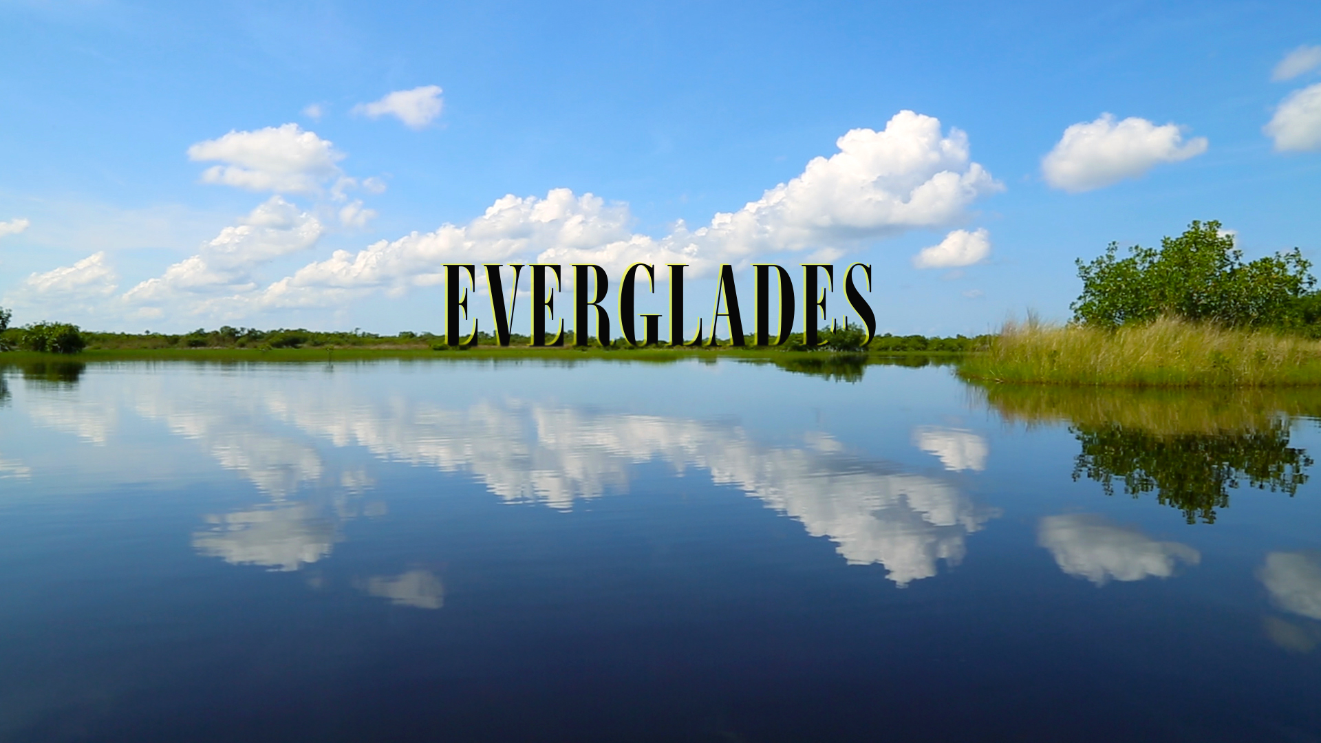 Everglades