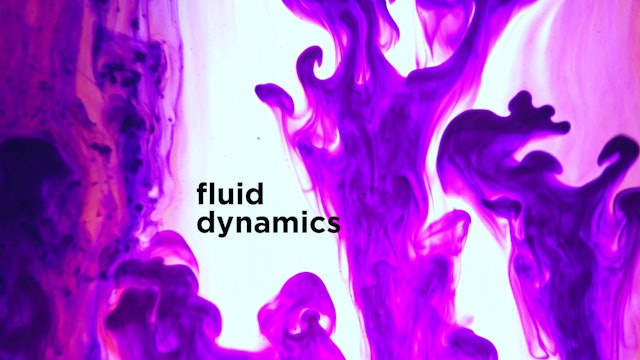 Fluid Dynamics