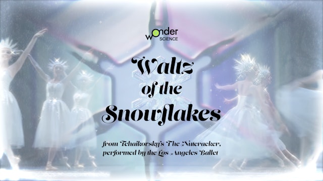 Waltz of the Snowflakes