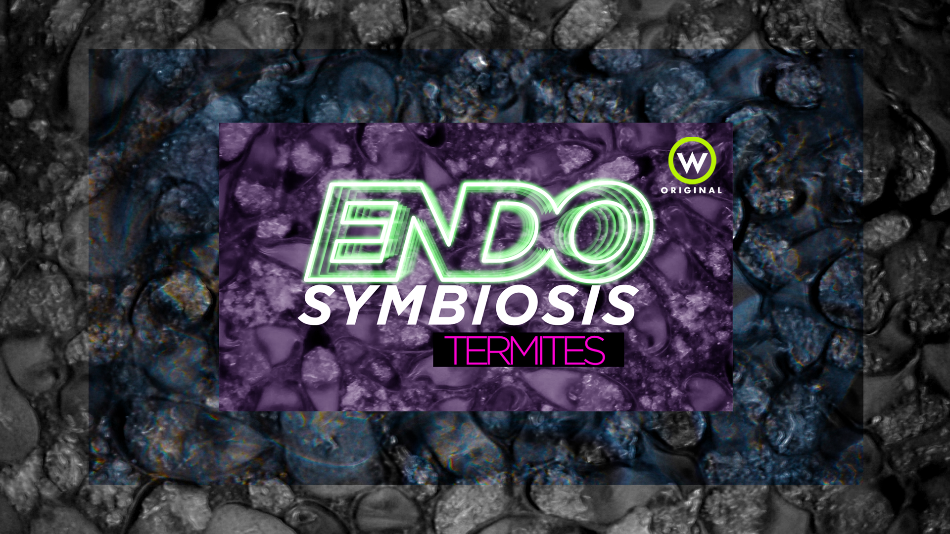 Endosymbiosis