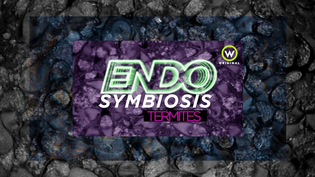 Endosymbiosis