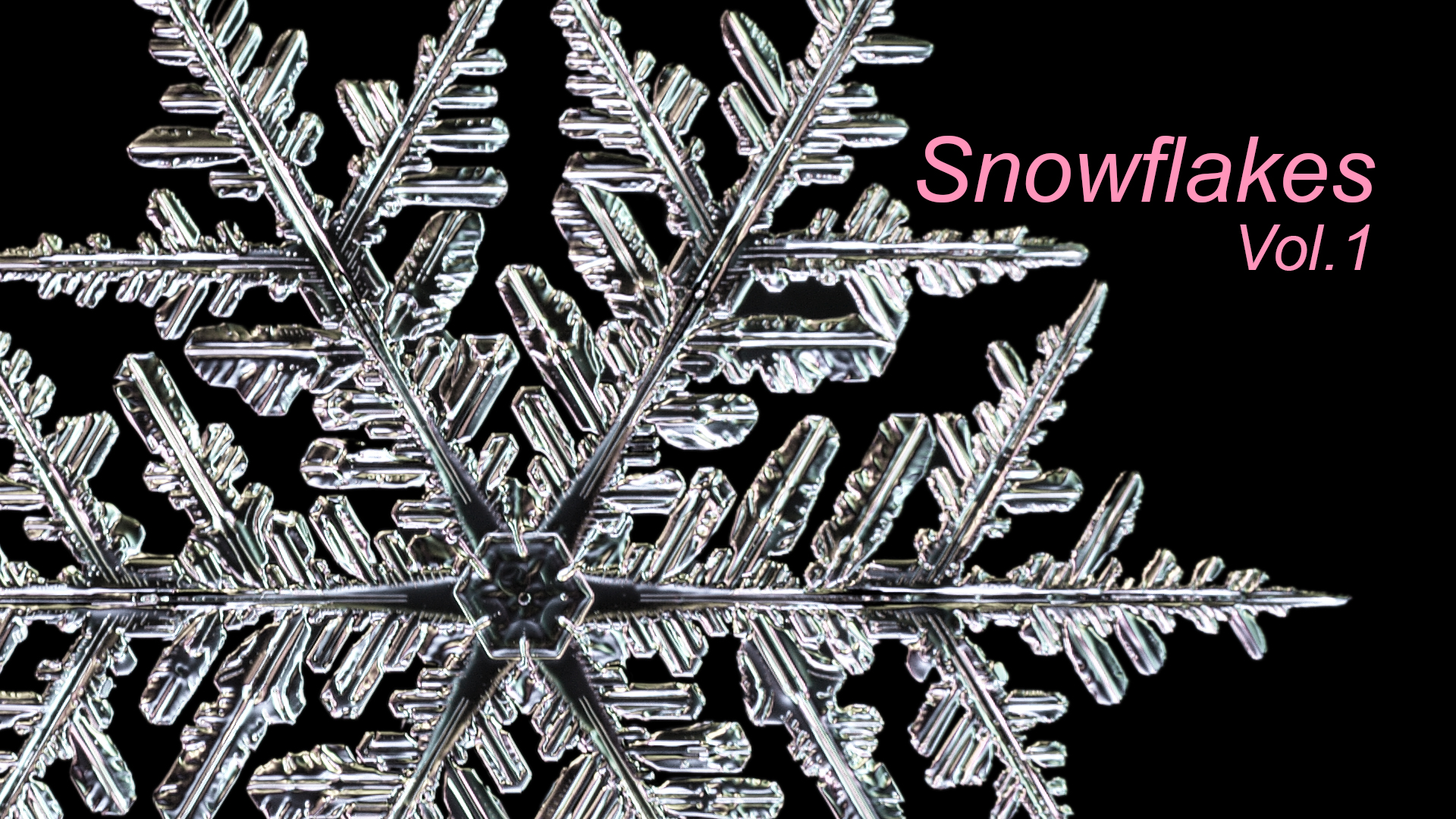 Snowflakes Vol.1