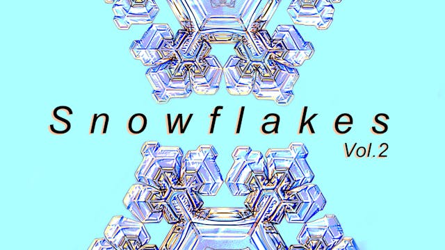 Snowflakes Vol.2