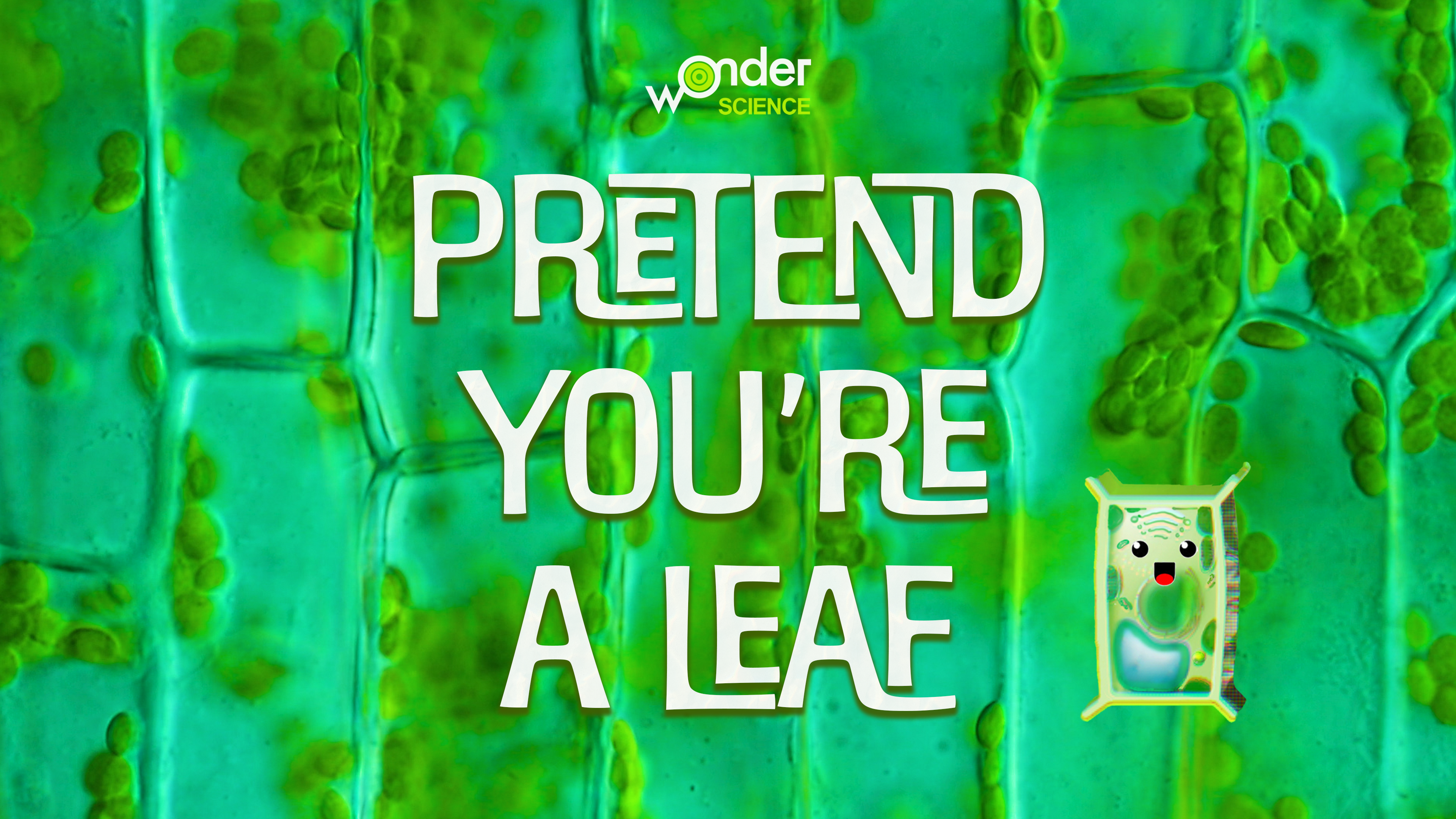 Pretend You're a Leaf