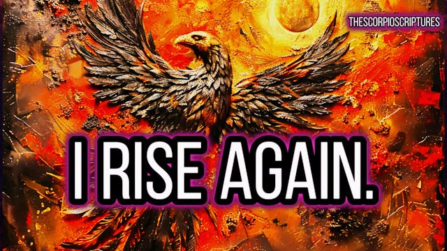 Reborn From The Ashes - Spirit Evolved Program