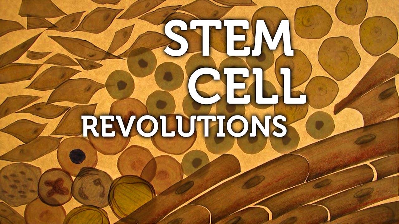 STEM CELL REVOLUTIONS – download-to-own for educational use