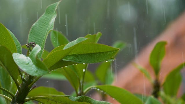 210329_06B_Bali_1080p_013