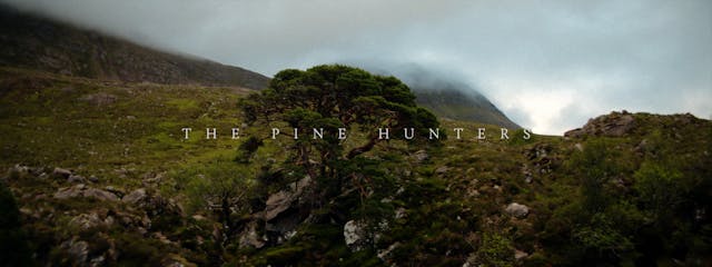 The Pine Hunters