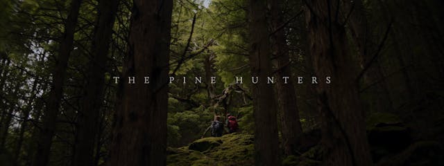 The Pine Hunters