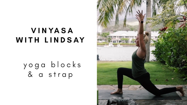 11.20.20 vinyasa yoga with lindsay