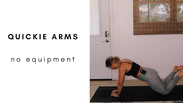 quickie no equipment arms 