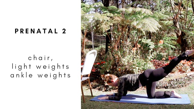prenatal 2