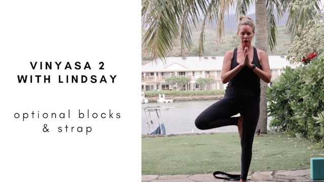 vinyasa 2 with lindsay