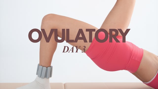 Day 8: 30 Min Full Body