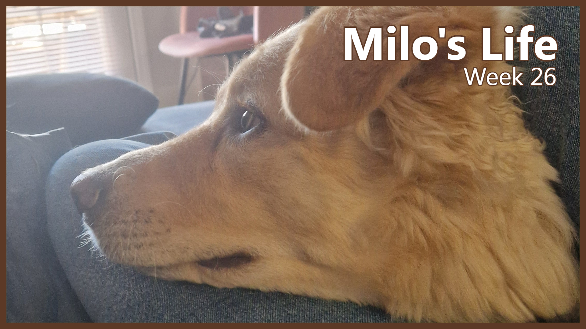 More sunny days | Week 26