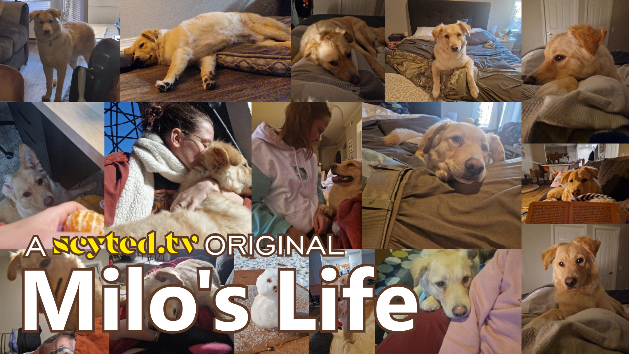 Milo's Life: Season 1